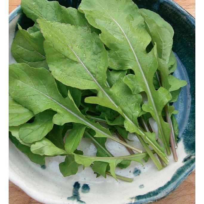 ➦ Benih-Bibit Arugula Roquette (Haira Seed) ➯