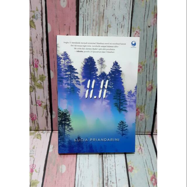 Preloved novel - 11.11 - Lucia Priandarini