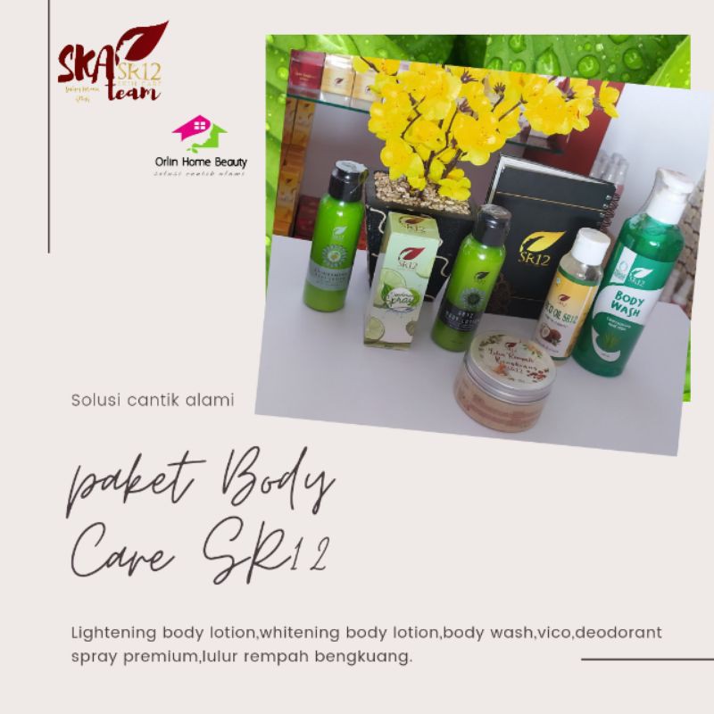AMPUH MENCERAHKAN BADAN/PAKET CANTIK BADAN KINCLONG/PAKET  BODY  CARE SR12/PAKET SESERAHAN BODY CARE