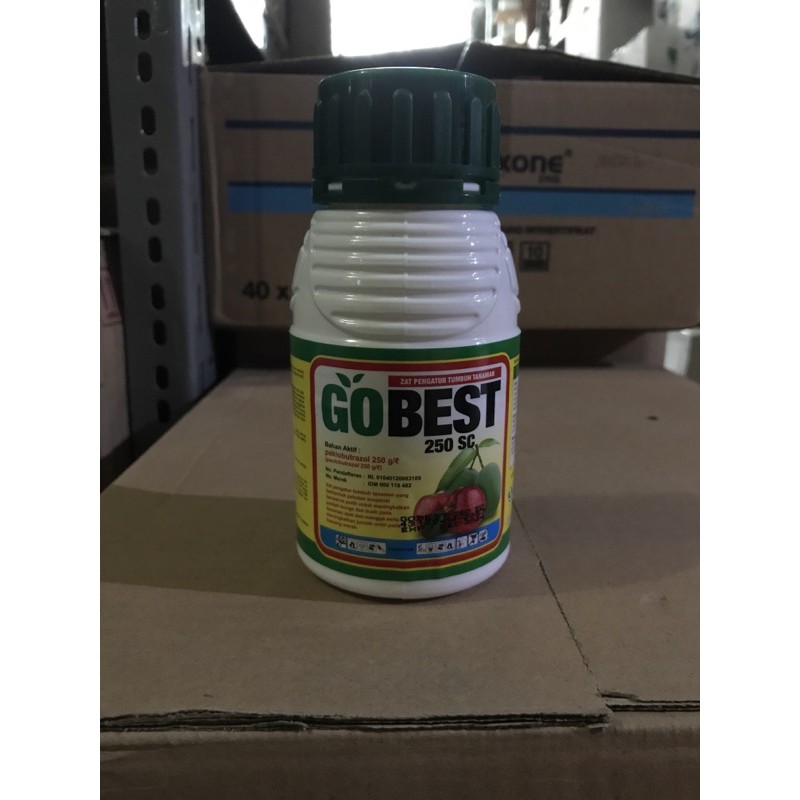 ZPT Gobest 250 mL
