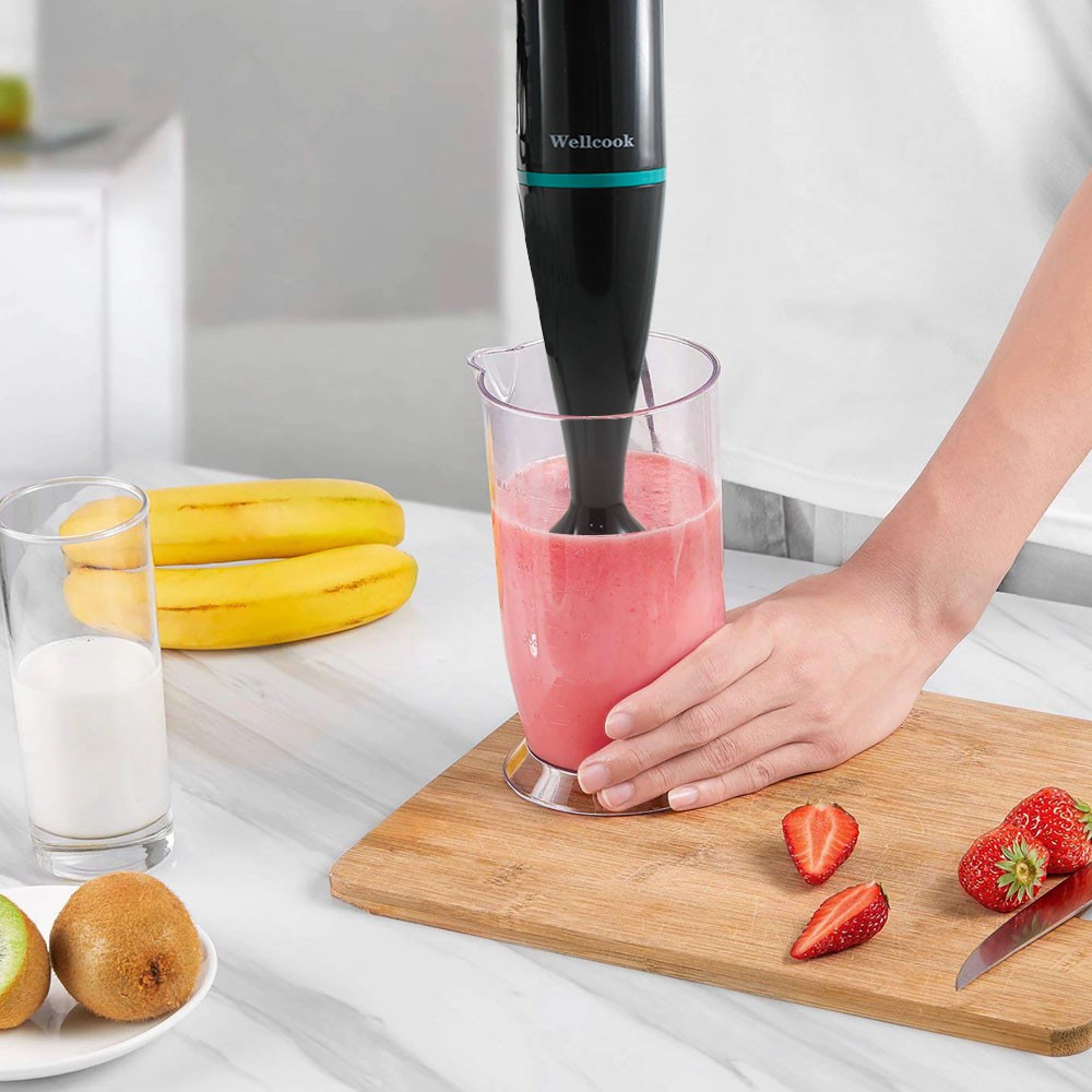 KALNO 2 IN 1 NUTRITIONAL HAND BLENDER STAINLESS STEEL -  RANDOM