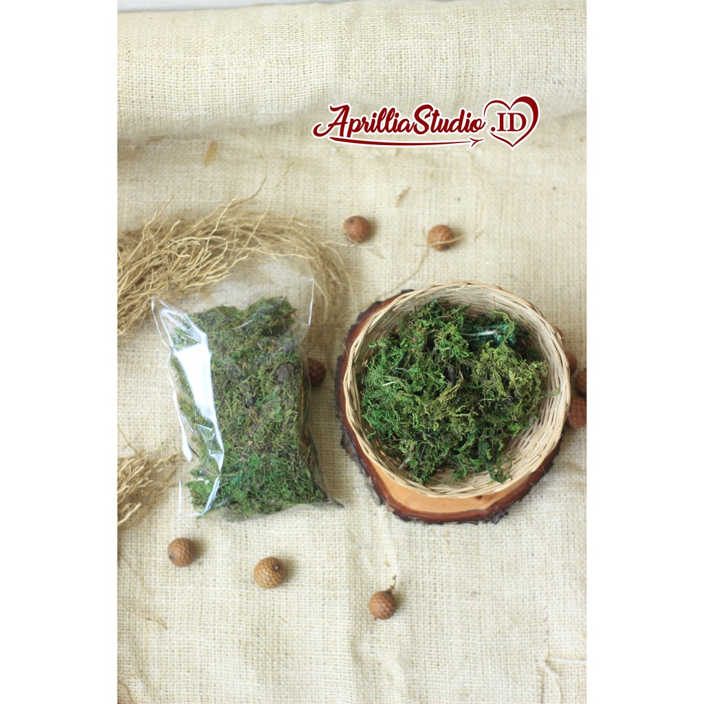 RUMPUT SINTETIS ASLI LUMUT | GREEN MOSS 25gr Bahan Kerajinan Untuk Dekorasi Rustic &amp; Craft