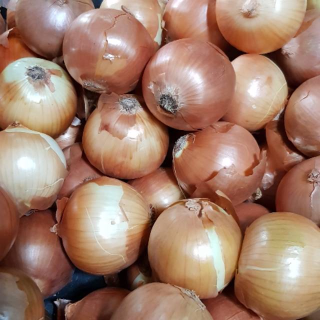 Bawang Bombay 1 Kg