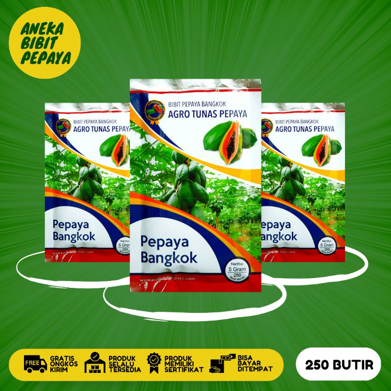 Bibit Pepaya Bangkok kemasan 5 gram Cv. Agro Tunas Pepaya