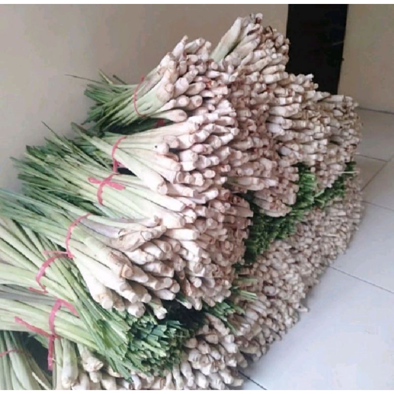 

SEREH DAPUR / BUMBU MASAK / SEREH