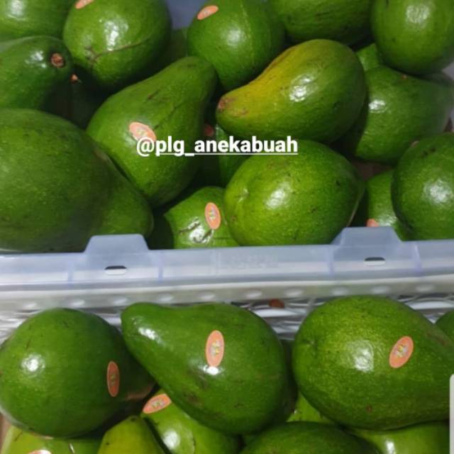 

Alpukat.alpukatmentega.alpukatpalembang