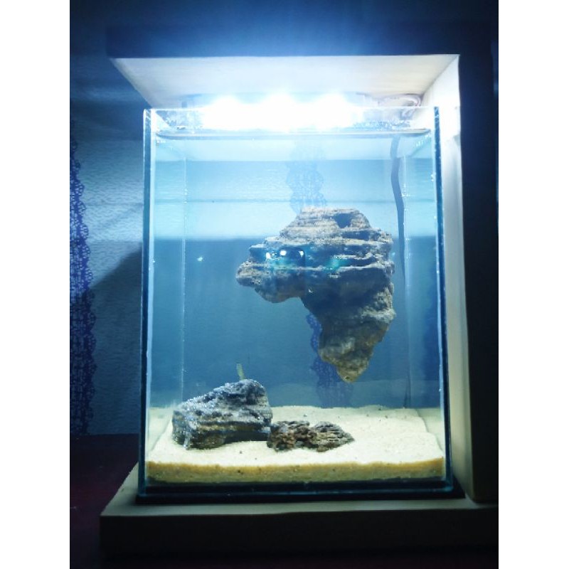 lampu tidur aquarium |aquascape mini | aquascape cupang|aquarium untuk cupang|aquarium full set