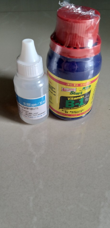 Vitamin B1 Taiwan Liquinox Untuk Semua Jenis Tanaman