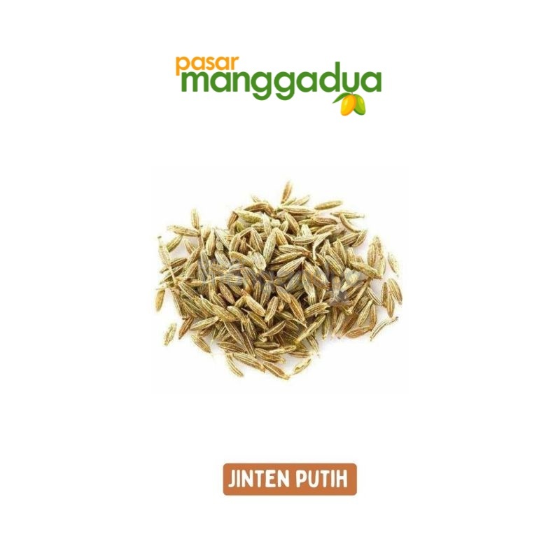 

Jinten Putih 100 Gram / Bumbu Rempah