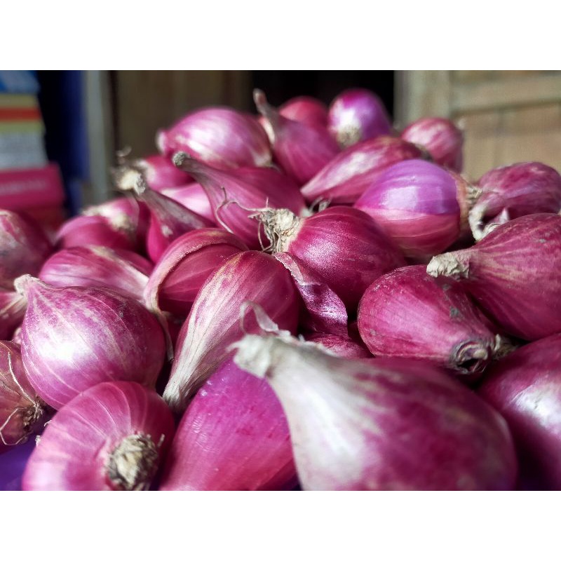 

bawang merah super