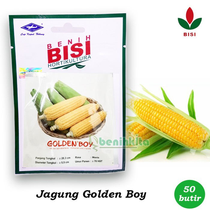 Benih-Bibit Jagung Manis Golden Boy (BISI)