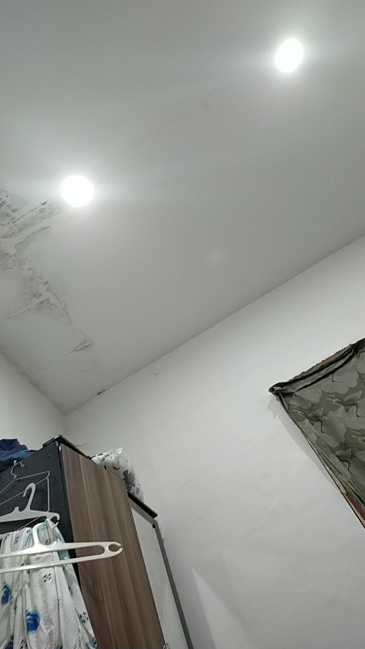 Bswart Kaos Batik Pria Merak Hrb026