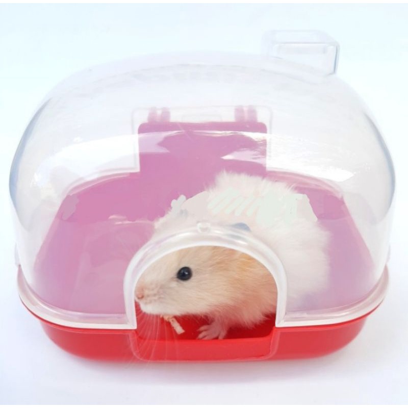 HAMSTER - SAUNA HAMSTER