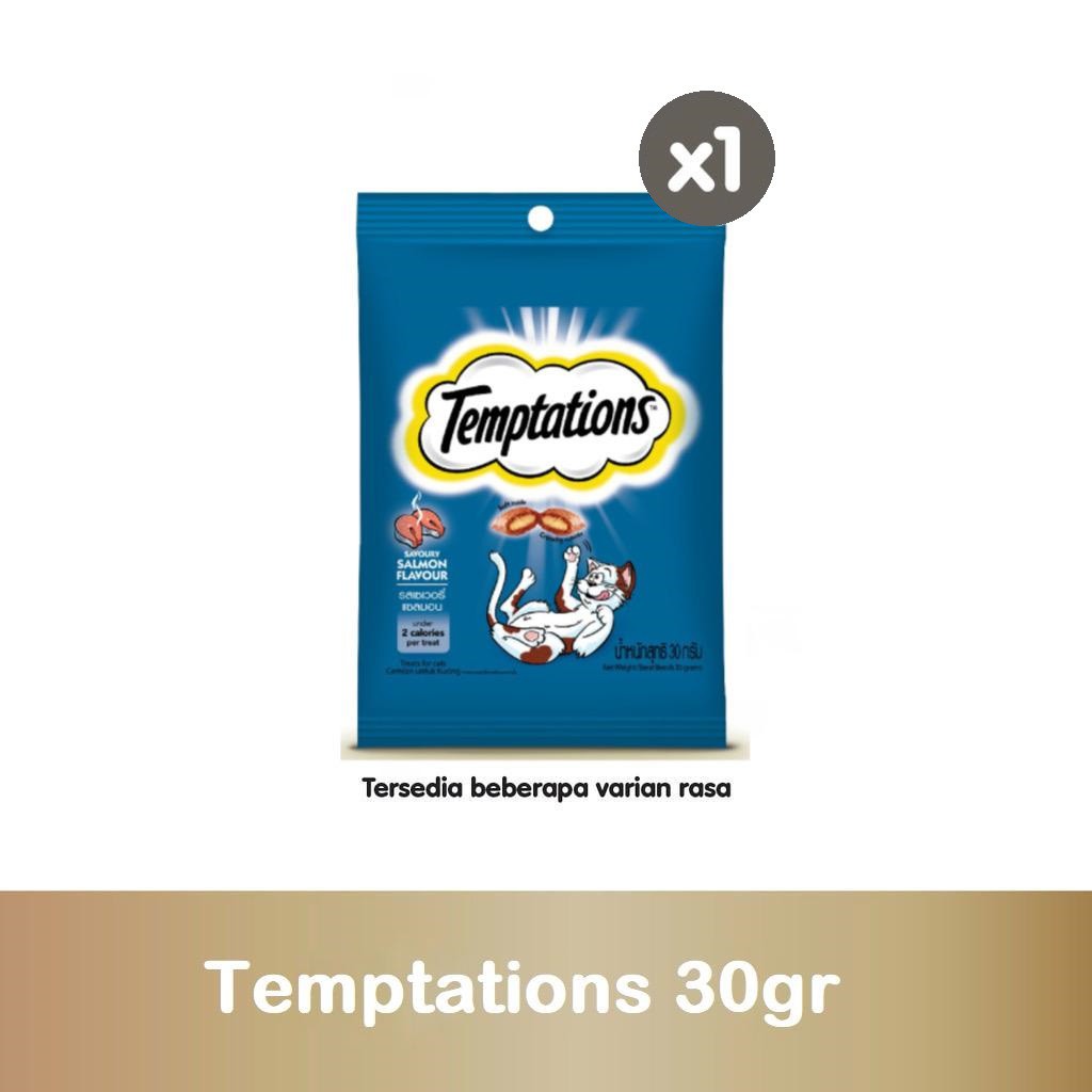 TEMPTATIONS™ Snack Kucing 30g