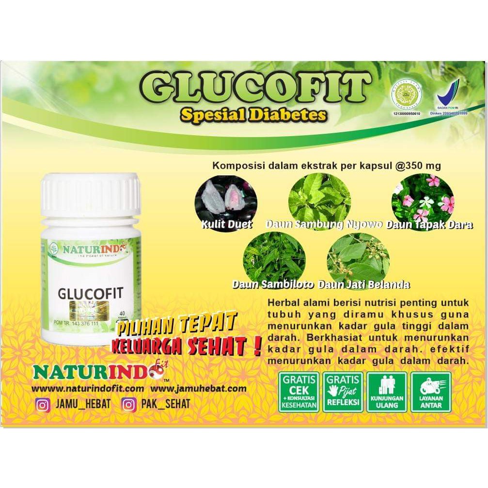 Glucofit Naturindo Obat Herbal Mengobati Kencing Manis Dan Kadar Gula Darah Tinggi Diabetes Shopee Indonesia