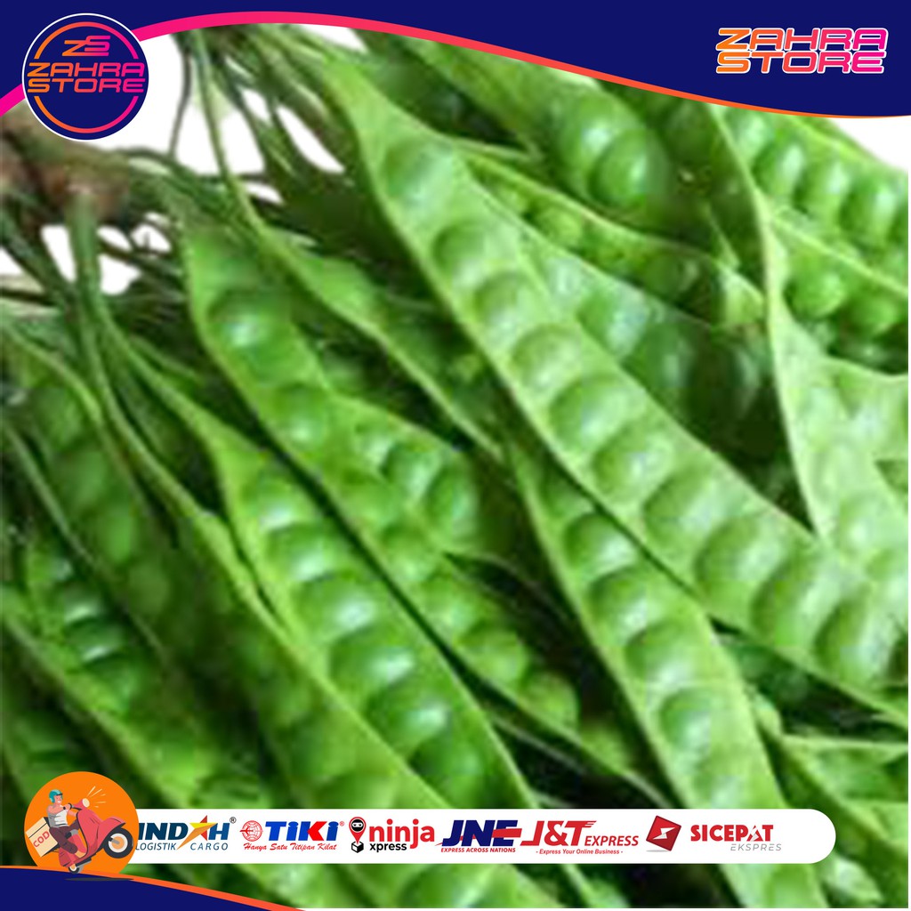

PETAI PETEUY PETE SEGAR SATUAN