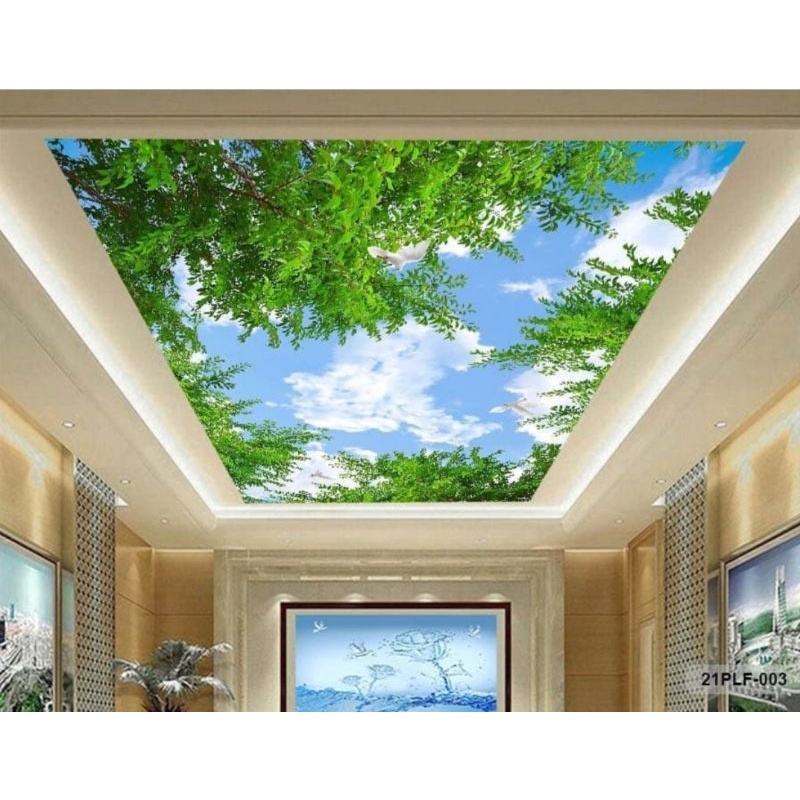 wallpaper plafon 3d