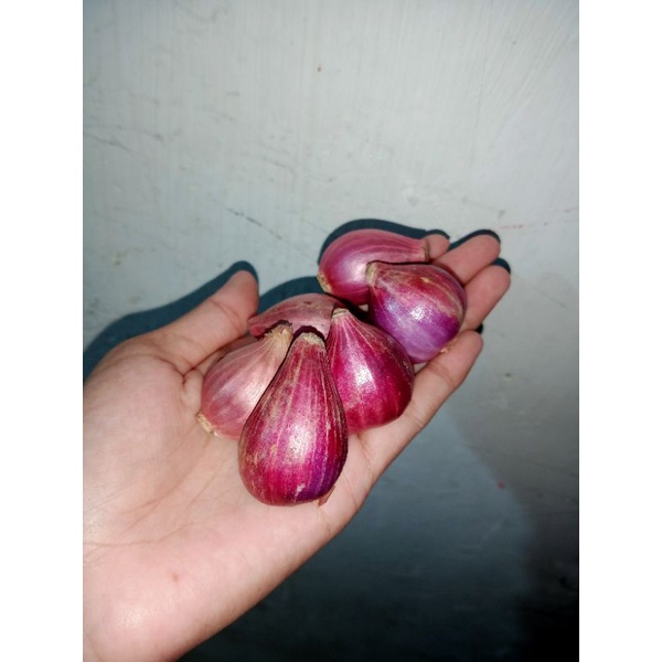 

bawang merah nganjuk super besar 500gr