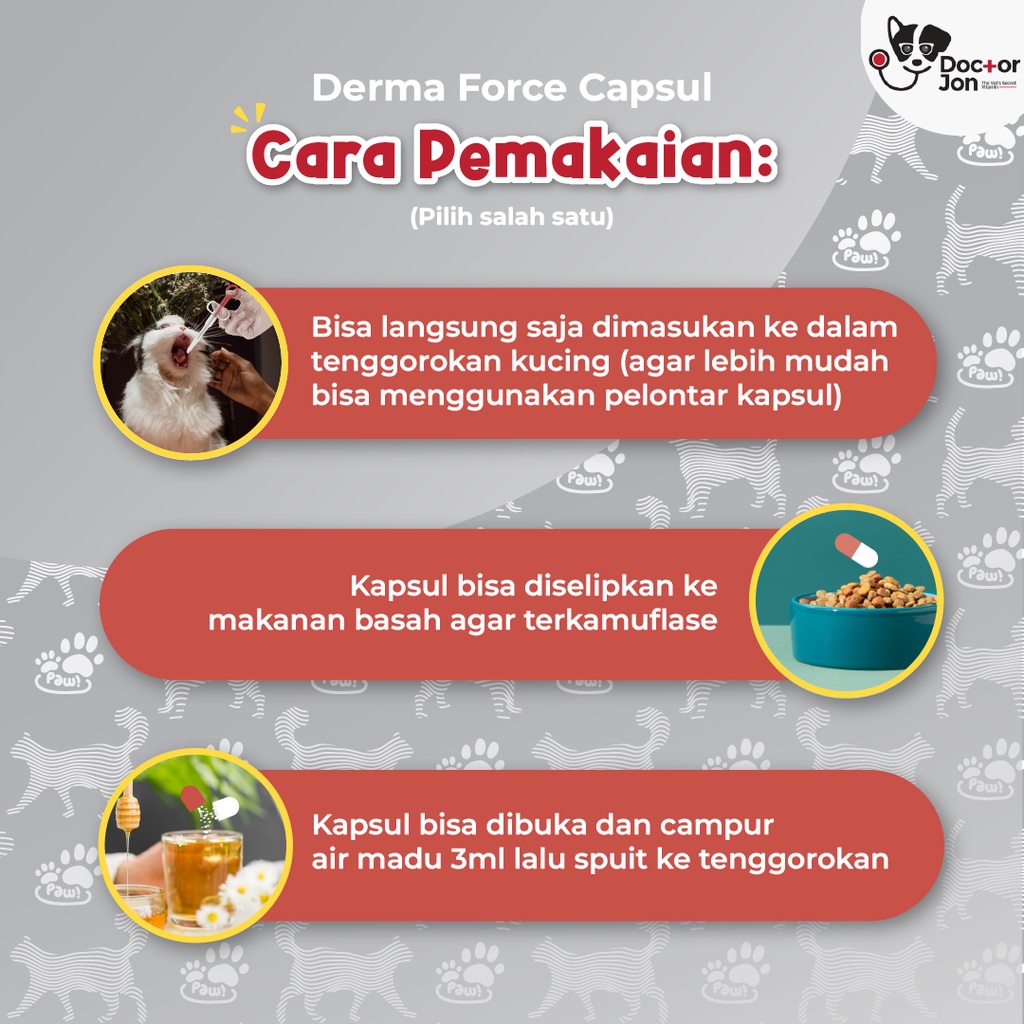 Vitamin Kucing Gangguan Kulit Berjamur Anti Jamur / Doctor Jon Derma Force Kapsul