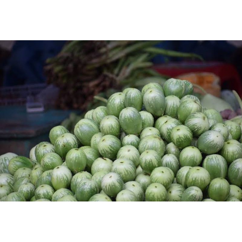 

sayuran terong lalap / bulat ( 500gr - 1kg )