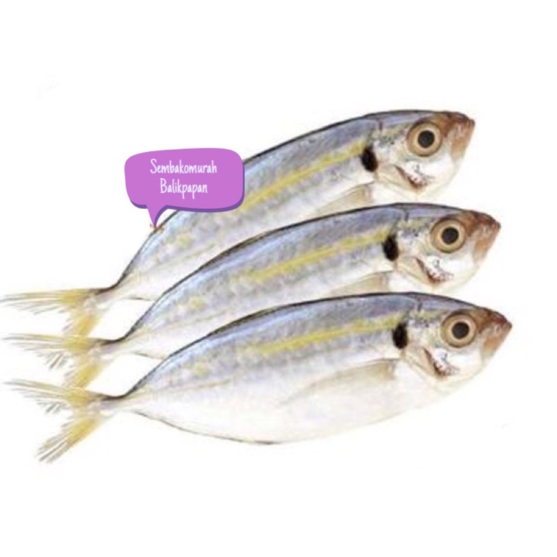 

ikan selar 1kg