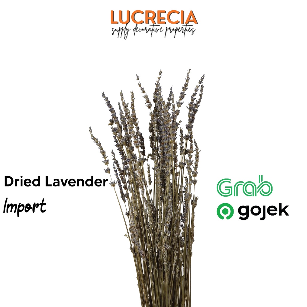 

Lavender dried import - bunga lavender kering per ikat DF-lvd