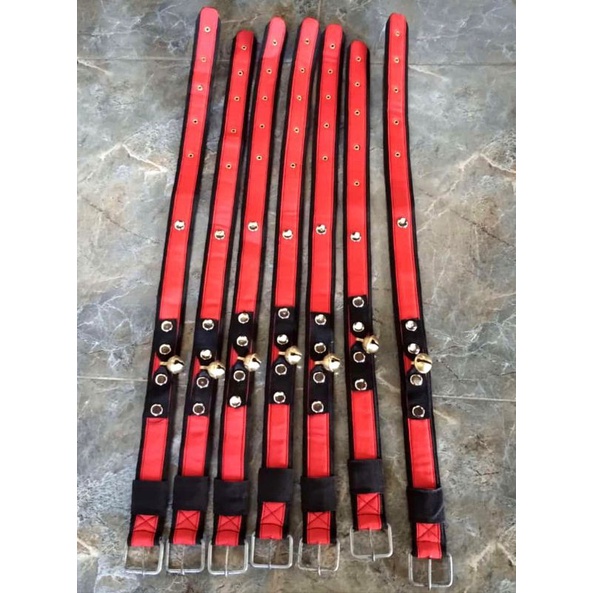 KALUNG KAMBING DAN DOMBA