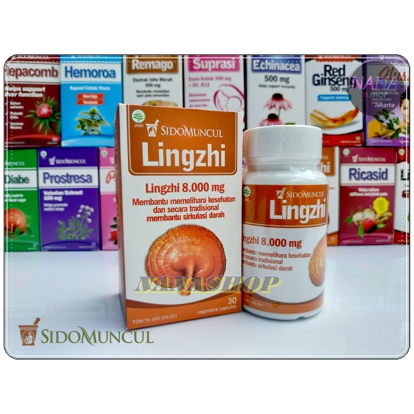 Jamur Lingzhi Sidomuncul | Obat Tumor Kanker | Sirkulasi Darah