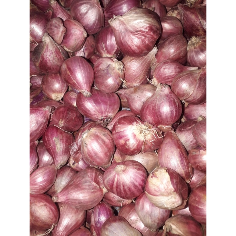 

Bawang merah ukurang sedang 500gr