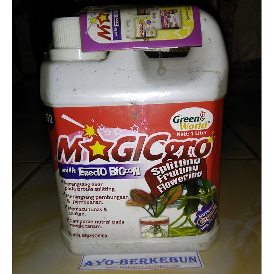 pupuk Magicgro with Erecto Biozon spliting - fruiting - flowering