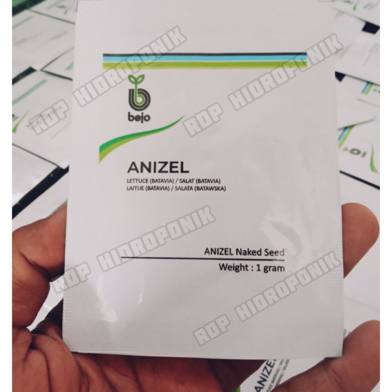 Benih Anizel Selada Impor Termurah
