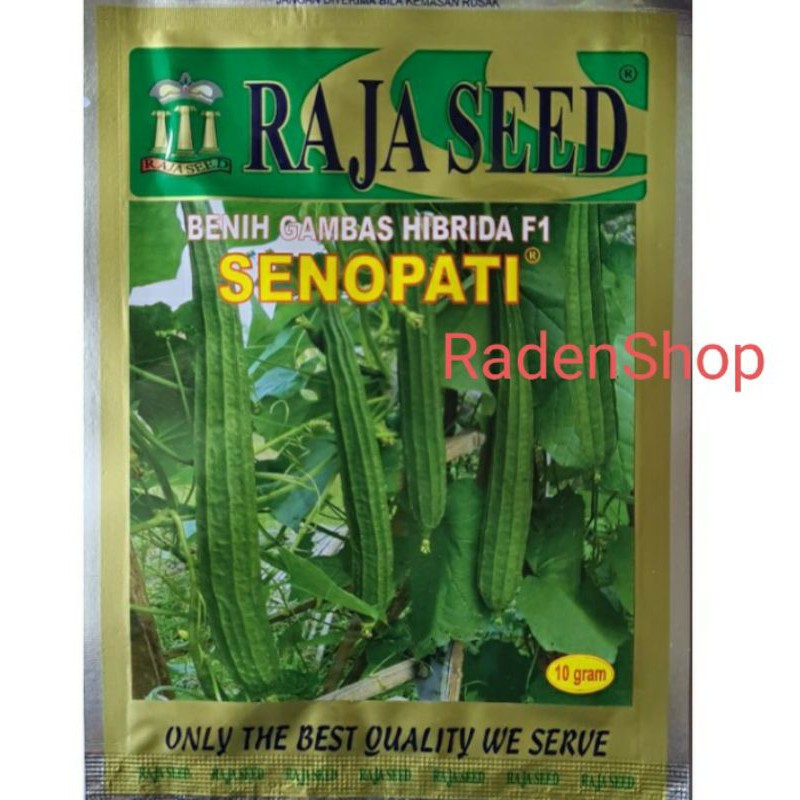 Isi 10gr. Benih Bibit Oyong Gambas F1 Hybrid SENOPATI