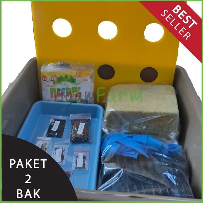 

paket hidroponik