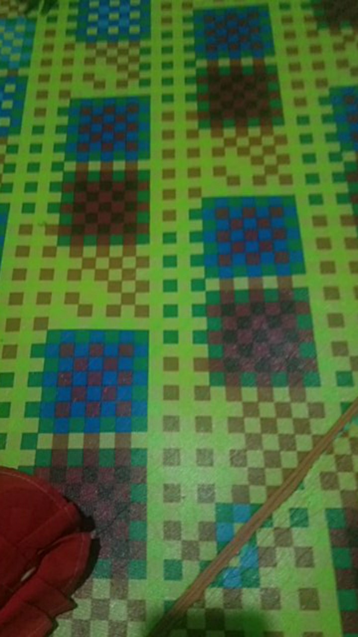 Pisau Sarung Warna / Pisau Buah