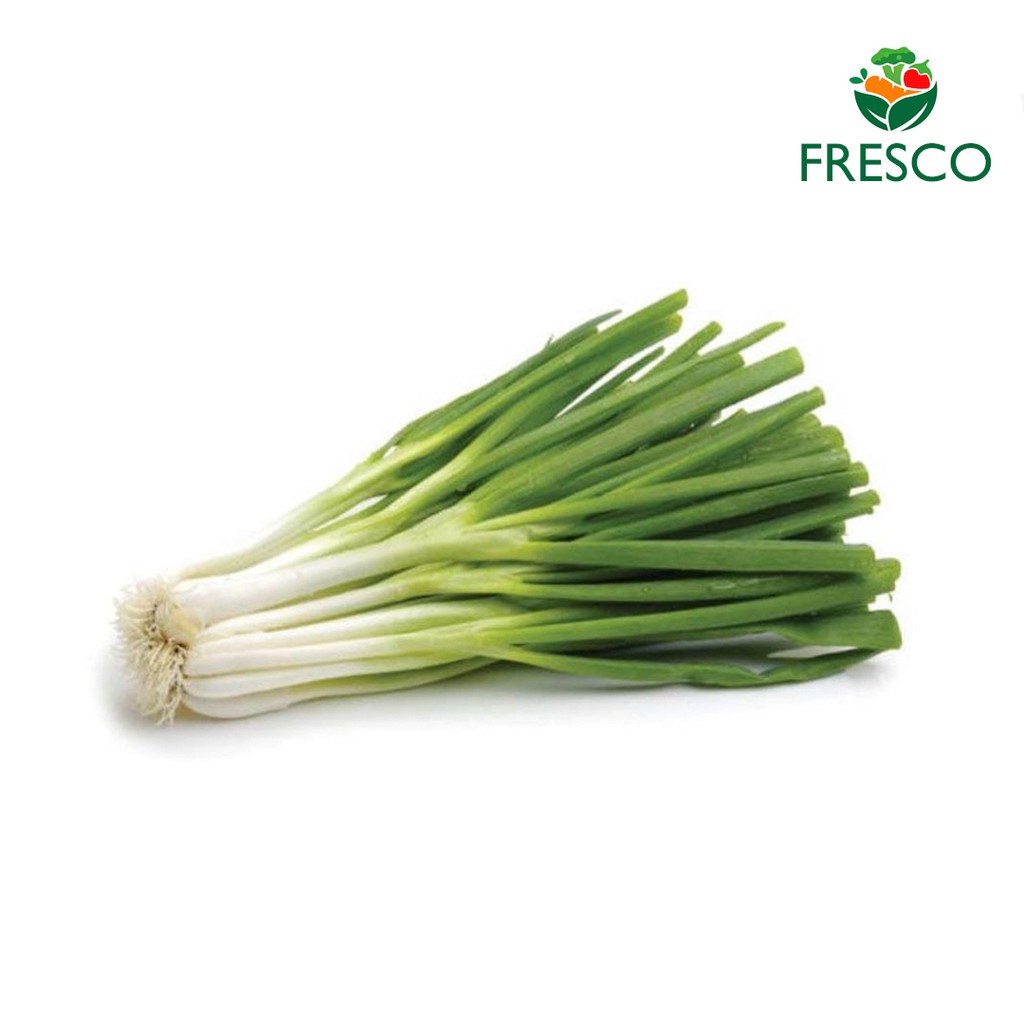 

Bawang Daun - Sayuran Segar