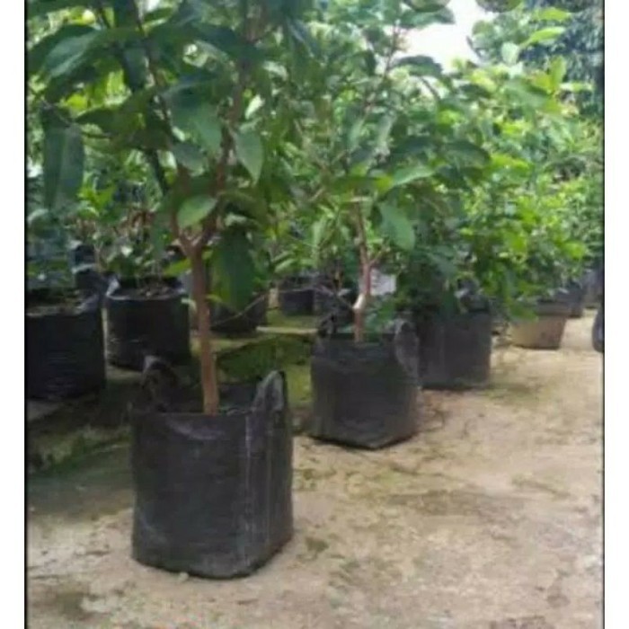 RPM Planterbag 100 liter | planter bag 100 L | polybag | polibag | pot