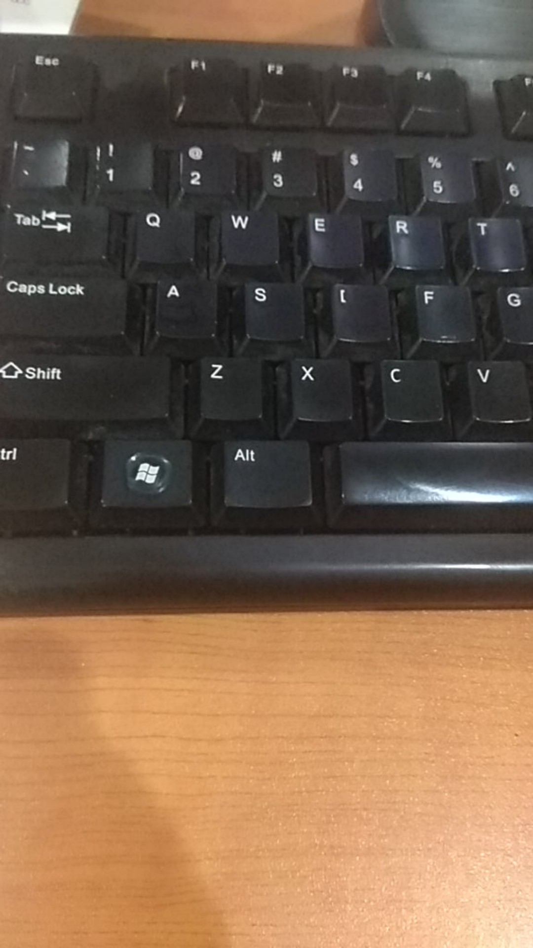 Francis Kunci Bodi Body Pelor Stainless Pintu Dua Double Rumah Belloca Mgj