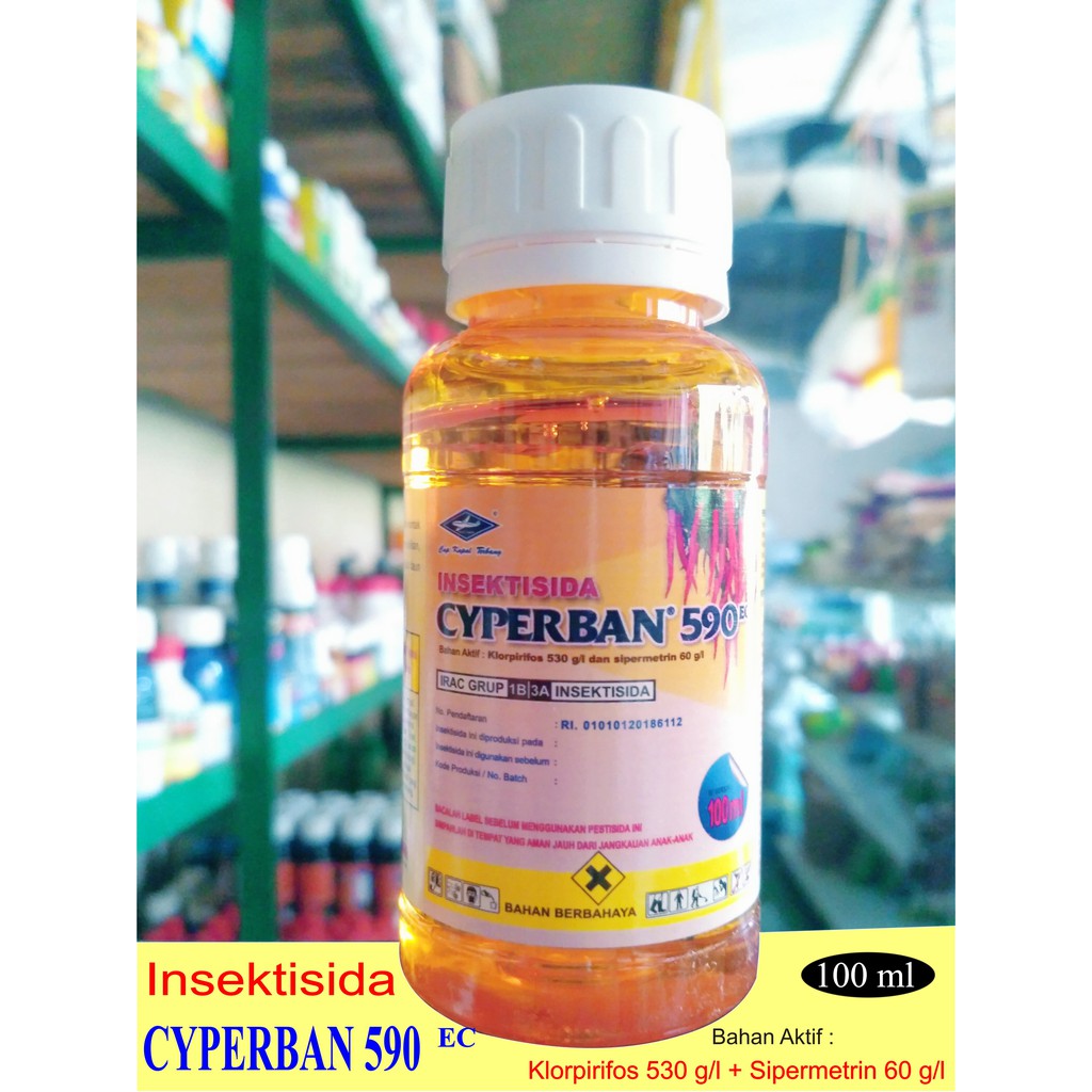 Insektisida CYPERBAN 100 ml Bahan Aktif Klorpirifos 530 g/l + Sipermetrin 60 g/l