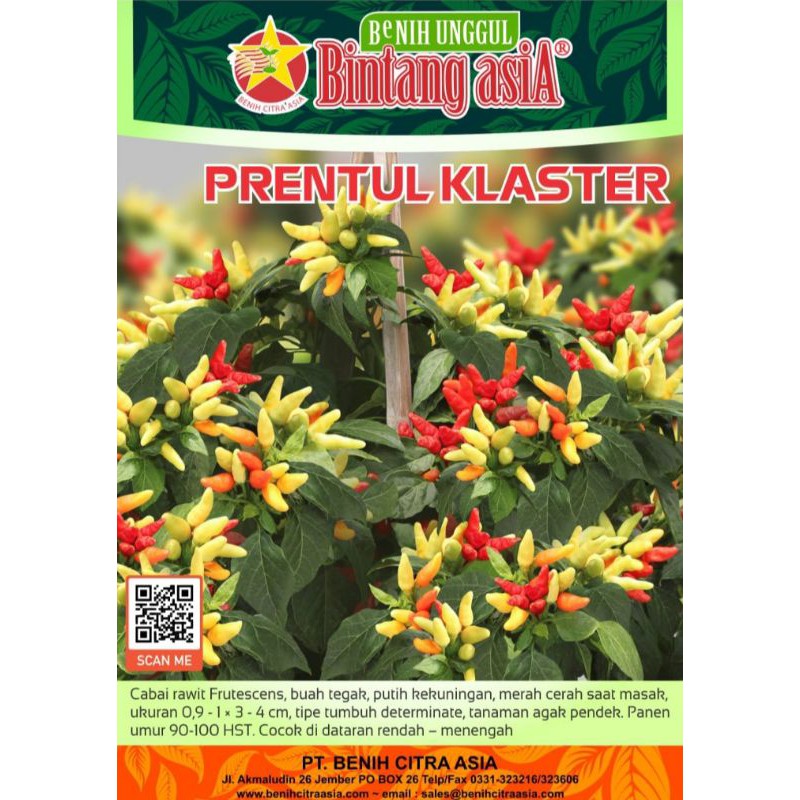 Prentul Klaster
