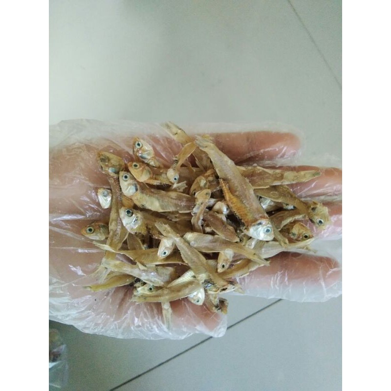 

TERLARIS !!! Teri Kering Tawar Gurih 500gram