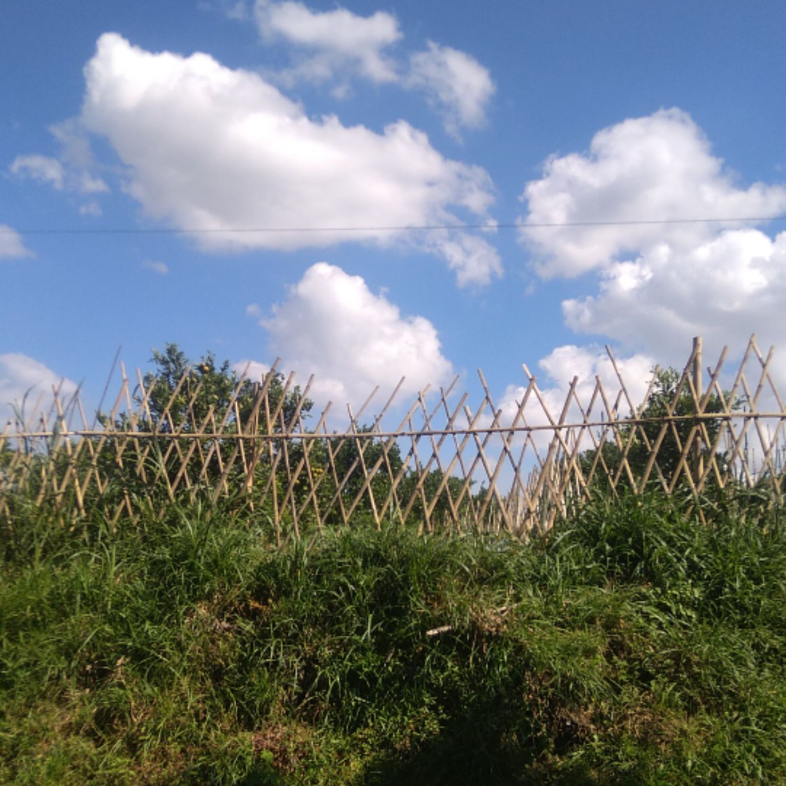 humanbeingstoreofficial