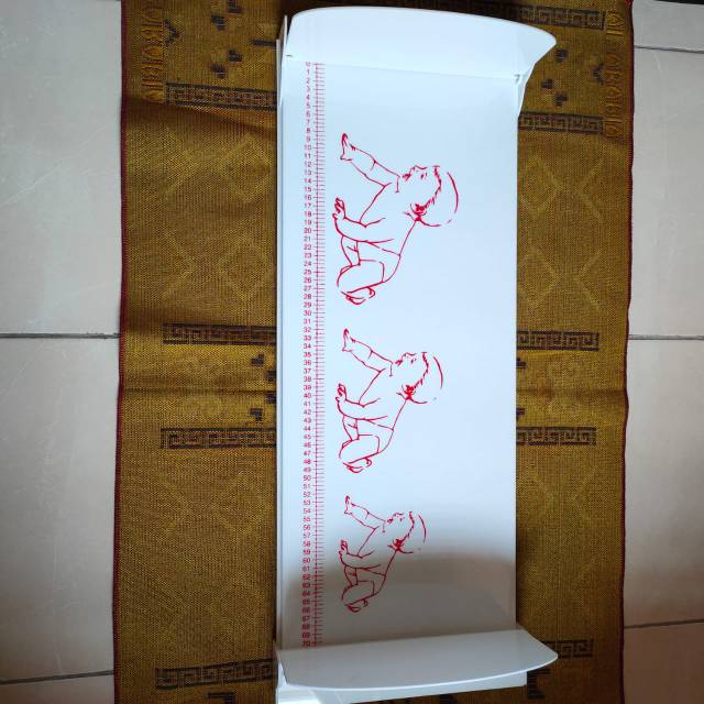 Ukur panjang badan bayi-pengukur panjang bayi