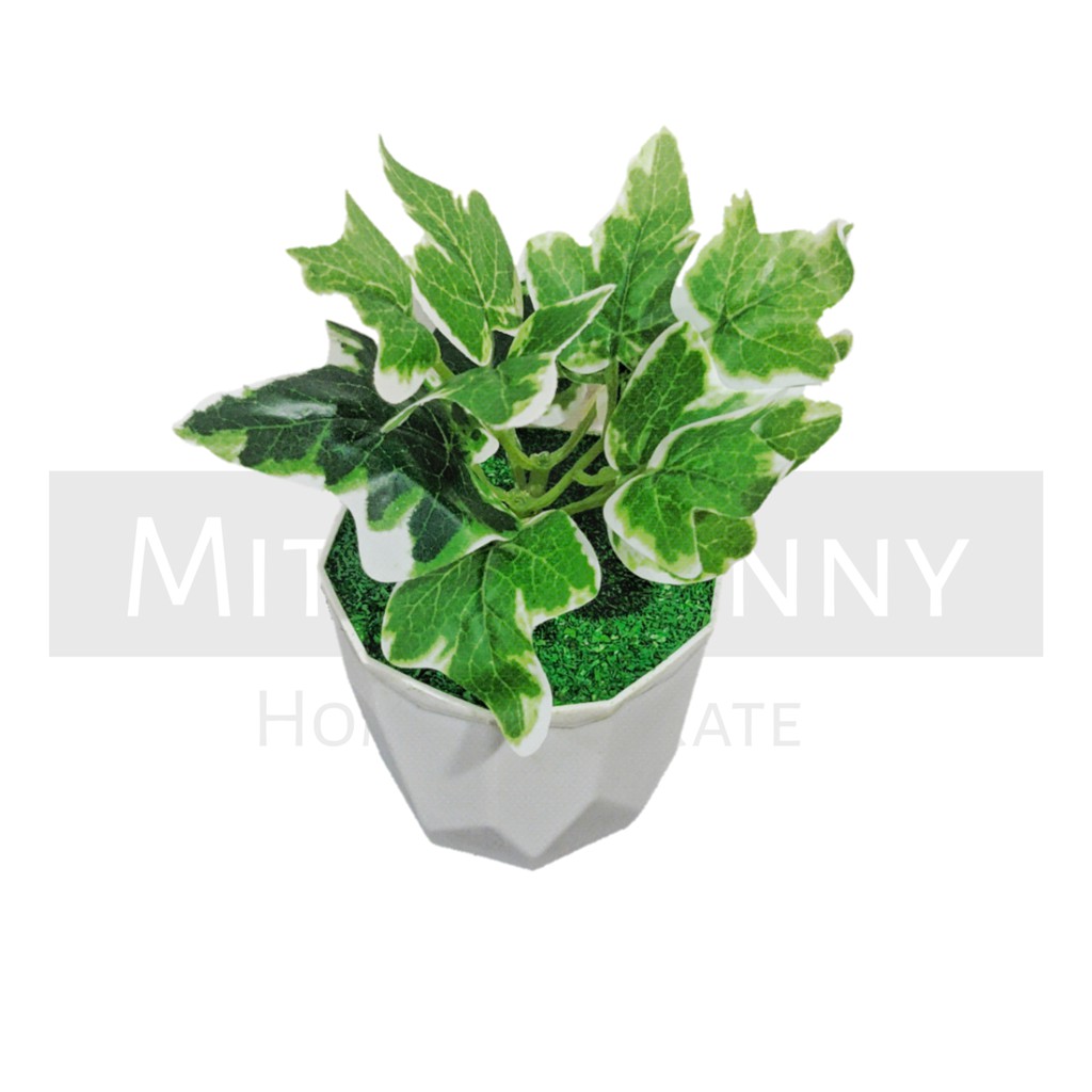 TANAMAN BUNGA ARTIFICIAL BUNGA HIAS DEKORASI HIASAN RUMAH BUNGA PLASTIK MURAH BUNGA AGLONEMA MINI-KD-001