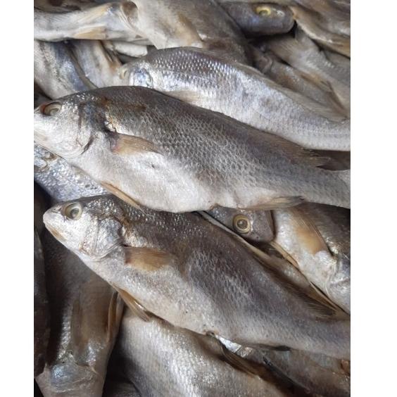 

B-EIY (㊛ Ikan Asin Sileman 500 gr