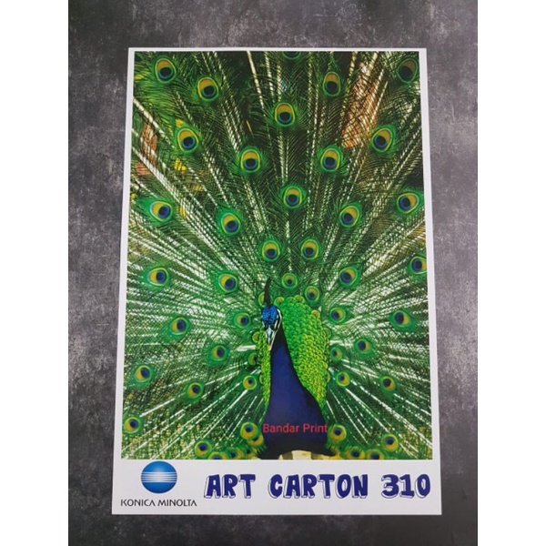 

Digital Print A3+ Cetak Art Carton 310