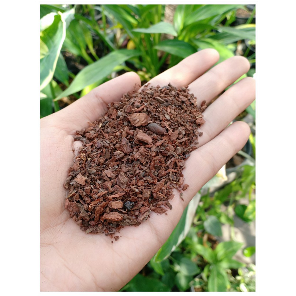 Media Tanam Kulit Pinus Organik Granule - 1 kg