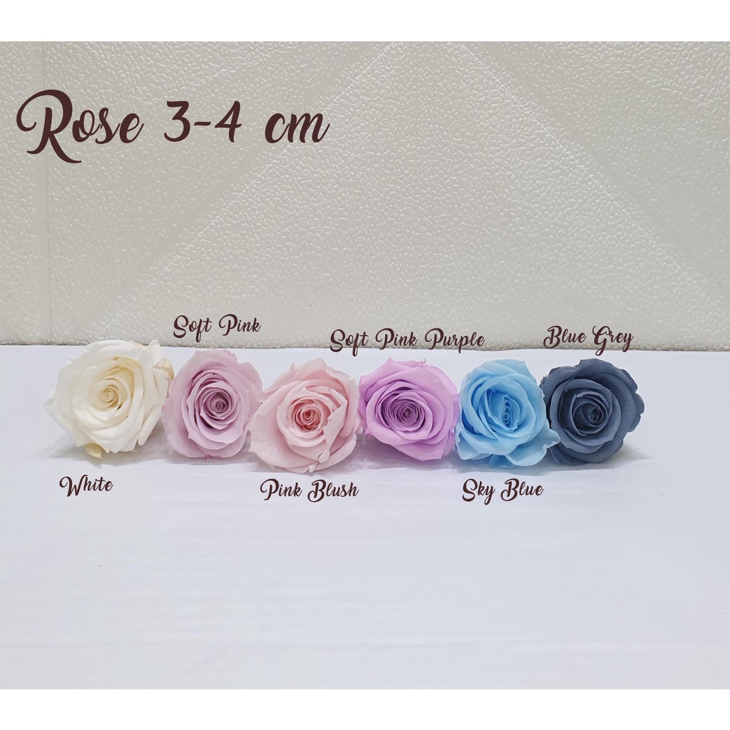 PRESERVED ROSE 3-4cm / preserved mawar