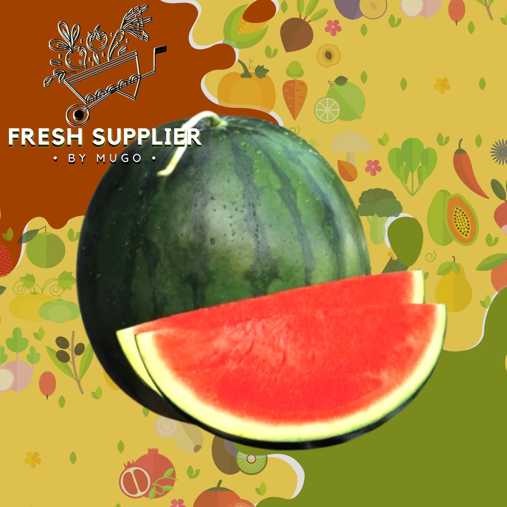 

Semangka non biji 3-4kg Fresh Supplier
