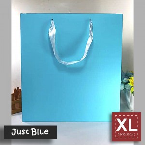 

Paper Bag Tali - XL JUST COLOR