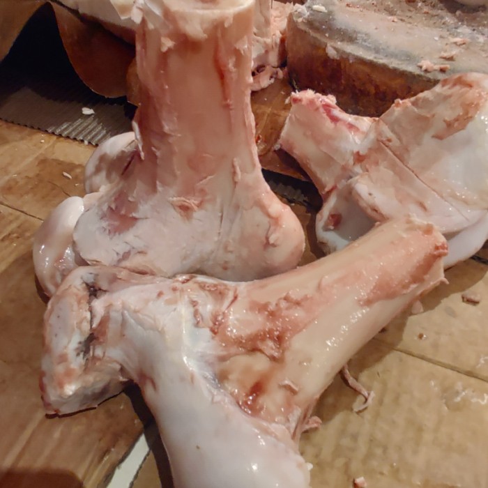 

tulang sumsum sapi segar / bone marrow per batang